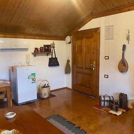 Raisa Guesthouse 12 培拉特 外观 照片