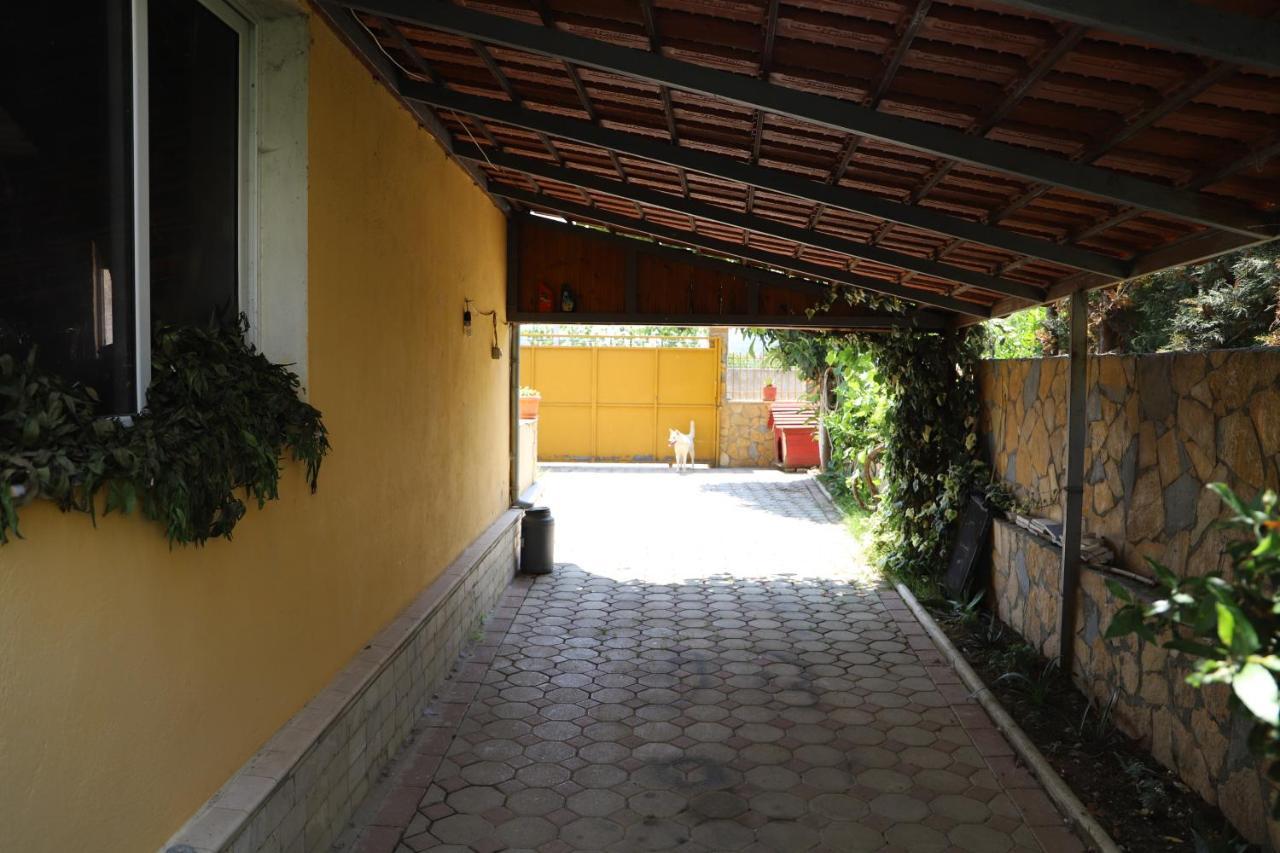 Raisa Guesthouse 12 培拉特 外观 照片